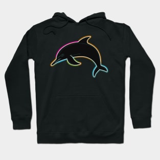 Shine like a Dolphin Hoodie